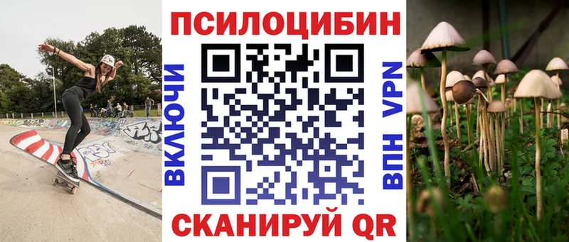omg зеркало  сколько стоит  Ува  Псилоцибиновые грибы Cubensis 